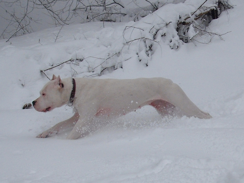 20100131_013.jpg