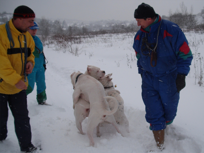 20100131_014.jpg