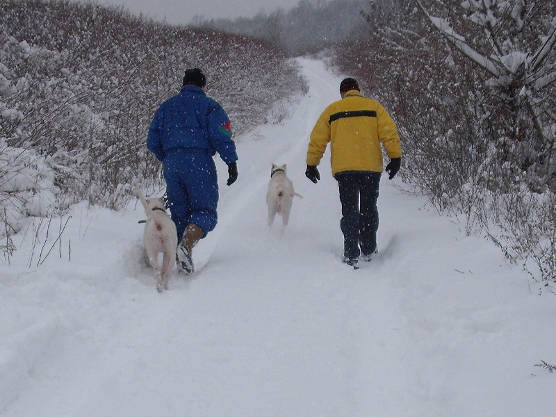 20100131_015.jpg