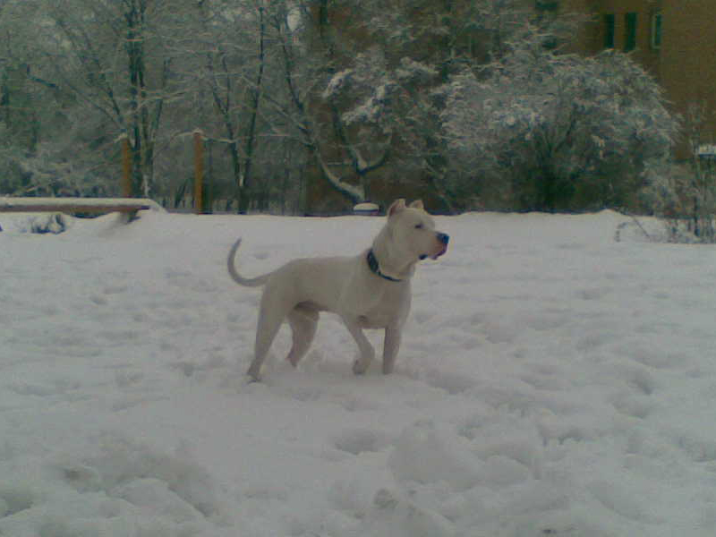 20100211_800.jpg