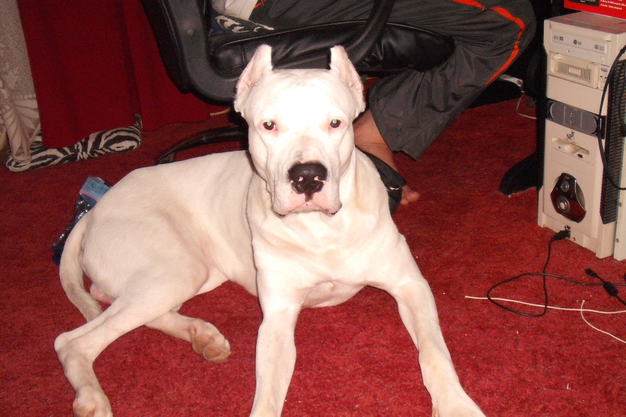 rico015900.jpg