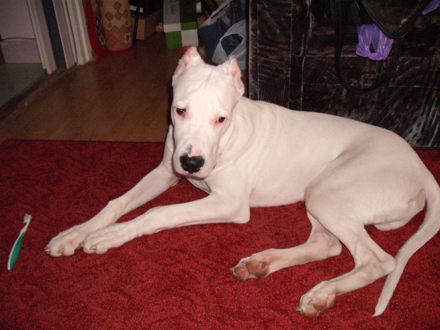 rico029900.jpg