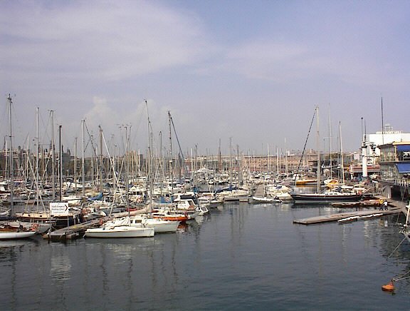 photo11.jpg