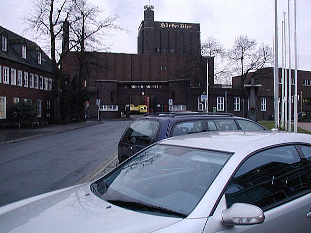 photo8.jpg