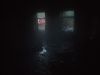 DSCF3445.JPG