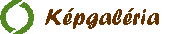 K�pgal�ria