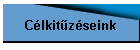 C�lkit�z�seink