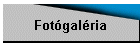 Fot�gal�ria