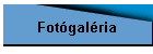 Fot�gal�ria