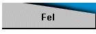 Fel