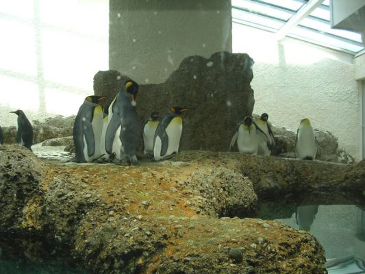 Teljes m�ret� k�p megtekint�se