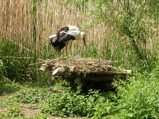 Teljes m�ret� k�p megtekint�se