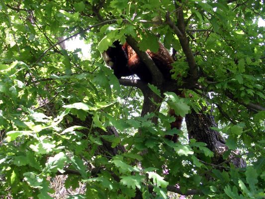 Teljes m�ret� k�p megtekint�se