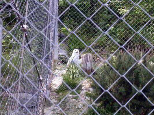 Teljes m�ret� k�p megtekint�se