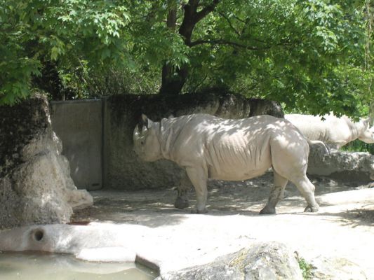 Teljes m�ret� k�p megtekint�se