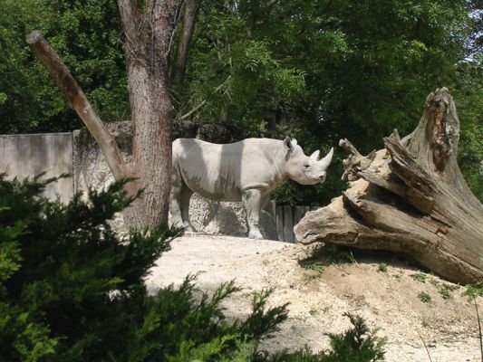 Teljes m�ret� k�p megtekint�se