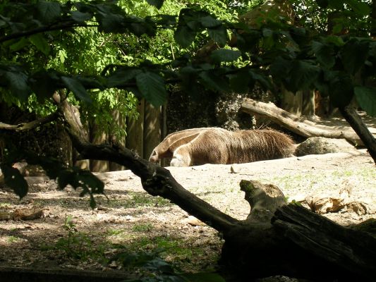 Teljes m�ret� k�p megtekint�se