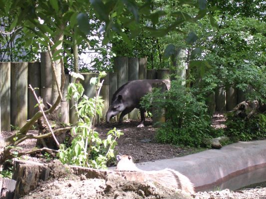 Teljes m�ret� k�p megtekint�se