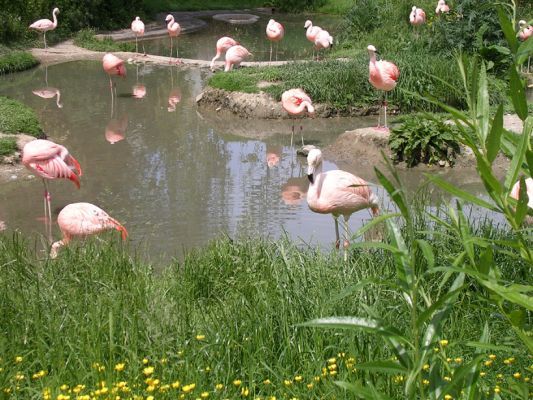 Teljes m�ret� k�p megtekint�se