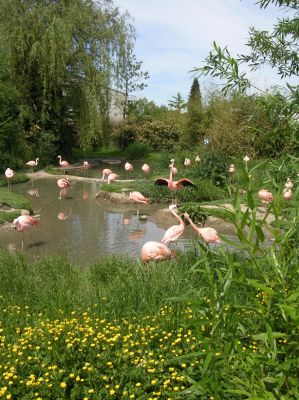 Teljes m�ret� k�p megtekint�se