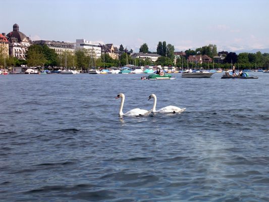 Teljes m�ret� k�p megtekint�se