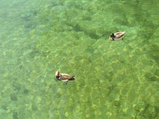 Teljes m�ret� k�p megtekint�se