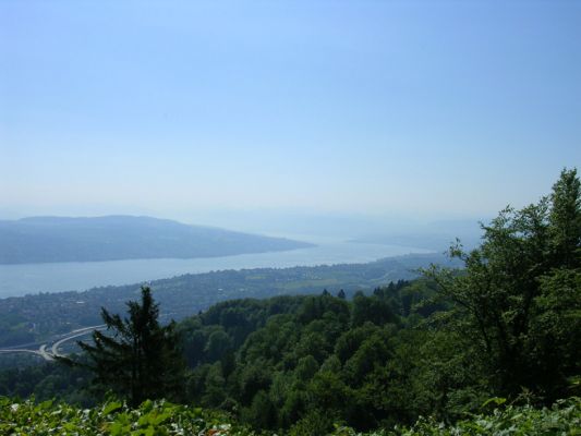 Teljes m�ret� k�p megtekint�se