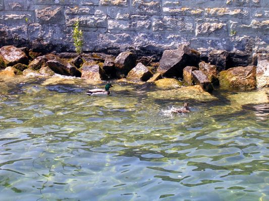 Teljes m�ret� k�p megtekint�se