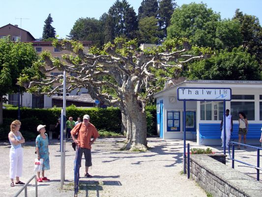 Teljes m�ret� k�p megtekint�se