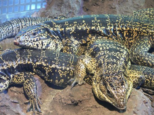 Teljes m�ret� k�p megtekint�se