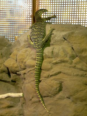 Teljes m�ret� k�p megtekint�se