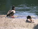DSCN3567.JPG