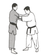 Ippon-seoi-nage