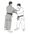 Ko-soto-gari