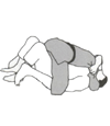 Tata-shiho-gatame