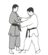  Tsuri-komi-goshi