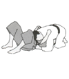 Kami-shiho-gatame