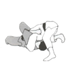 Kuzure-kami-shiho-gatame