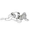 Ushiro-gesa-gatame
