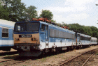 1999 szaki Jrmjavt