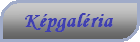 K&eacute;pgal&eacute;ria