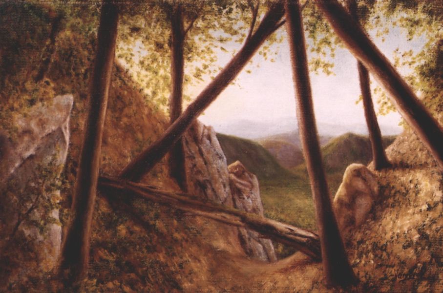 Hegyvid�ki t�j, 20x30cm, olaj, v�szon, 2005.