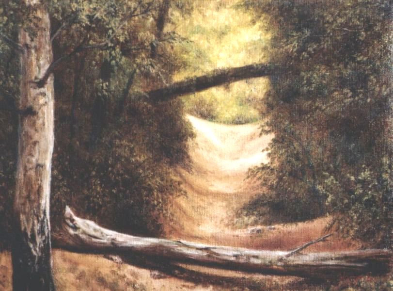 Hegyi �t, 30x40cm, olaj, v�szon, 2005.