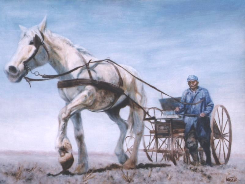 Kukoricavet�s 63x47cm, olaj, farost, 2006.