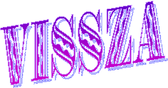 VISSZA