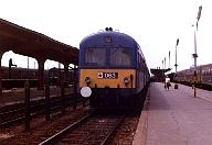 Bat063b.jpg