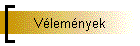 Vlemnyek