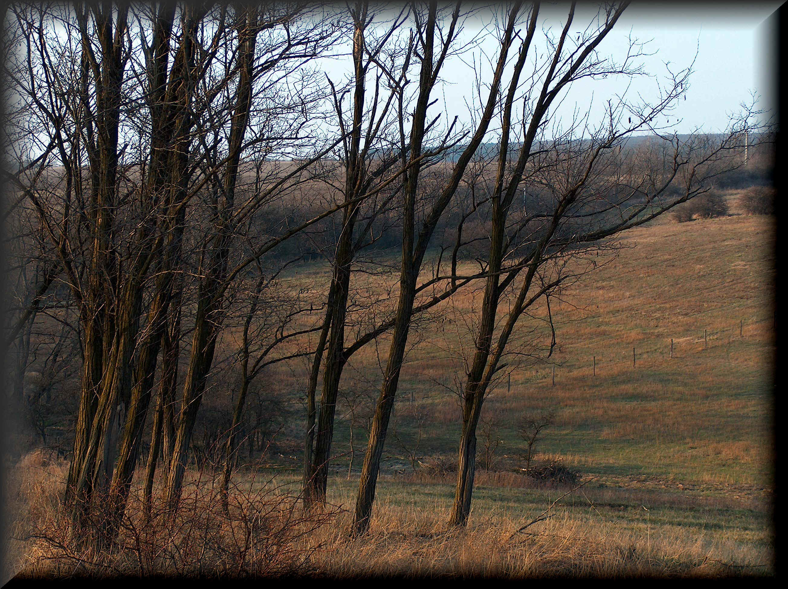 keskenyv�lgy.jpg (1767431 bytes)