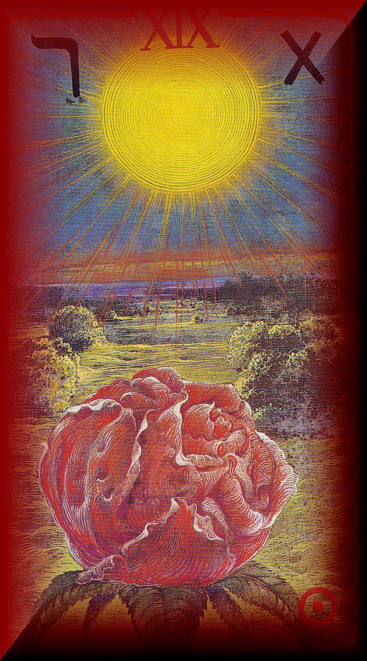 naplap.jpg (522600 bytes)