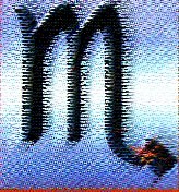 skorpi�.jpg (20994 bytes)